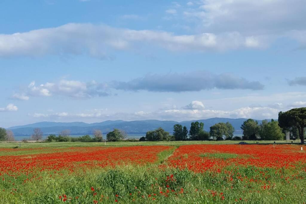 Bellavista La Tua Romantica Vacanza Sul Trasimeno Apartment Castiglione del Lago Ngoại thất bức ảnh