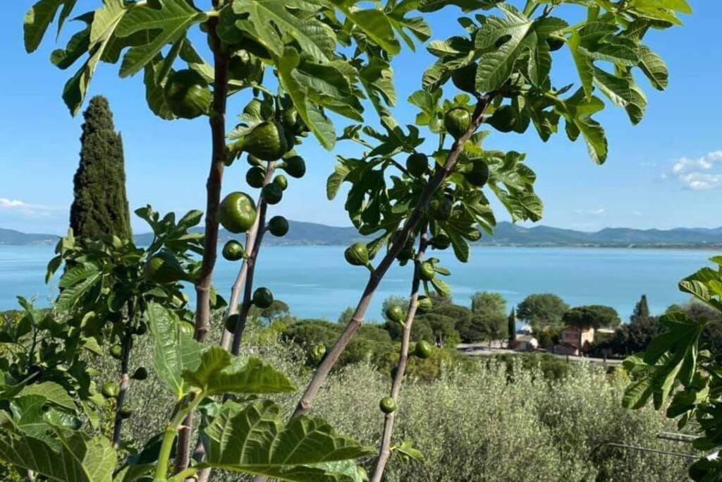 Bellavista La Tua Romantica Vacanza Sul Trasimeno Apartment Castiglione del Lago Ngoại thất bức ảnh