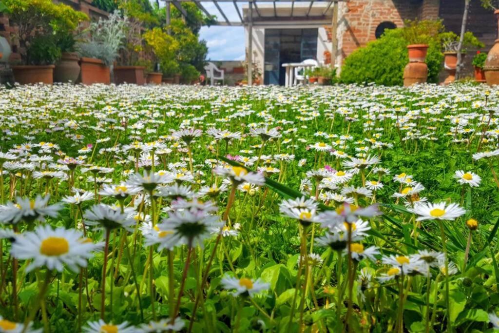 Bellavista La Tua Romantica Vacanza Sul Trasimeno Castiglione del Lago Ngoại thất bức ảnh