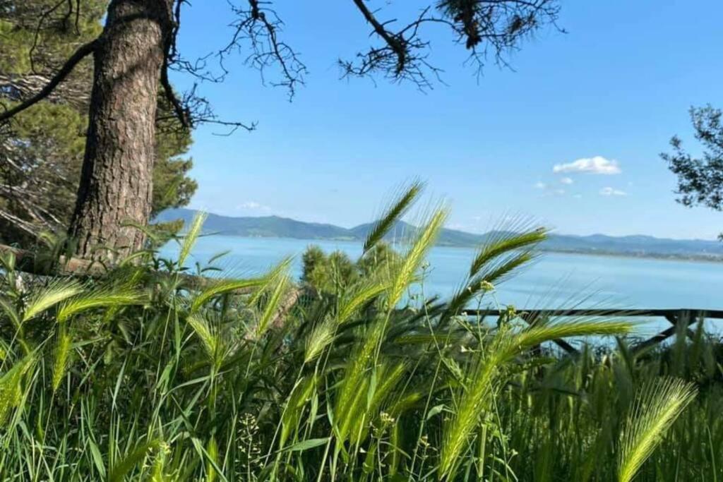 Bellavista La Tua Romantica Vacanza Sul Trasimeno Apartment Castiglione del Lago Ngoại thất bức ảnh