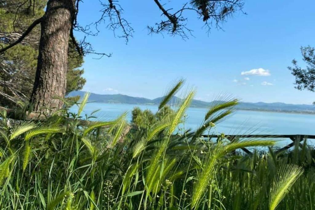 Bellavista La Tua Romantica Vacanza Sul Trasimeno Castiglione del Lago Ngoại thất bức ảnh