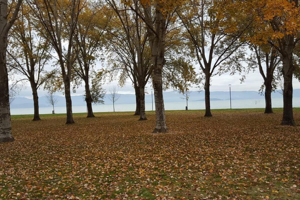 Bellavista La Tua Romantica Vacanza Sul Trasimeno Castiglione del Lago Ngoại thất bức ảnh