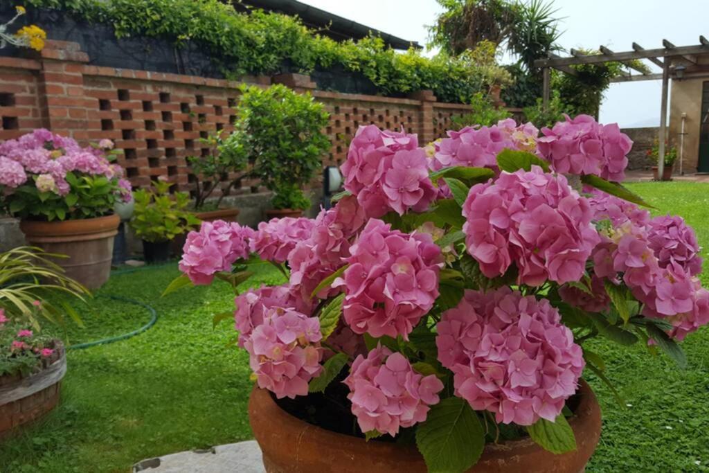 Bellavista La Tua Romantica Vacanza Sul Trasimeno Castiglione del Lago Ngoại thất bức ảnh