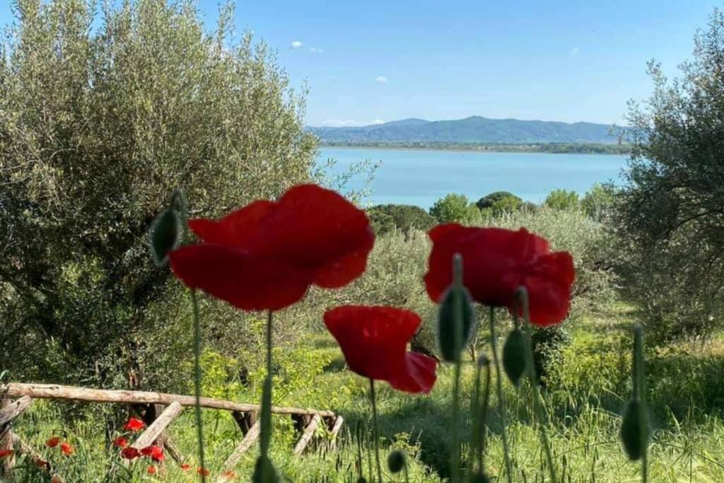 Bellavista La Tua Romantica Vacanza Sul Trasimeno Castiglione del Lago Ngoại thất bức ảnh
