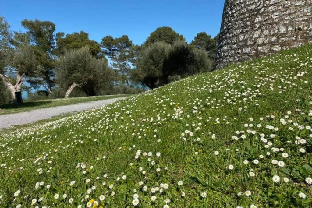 Bellavista La Tua Romantica Vacanza Sul Trasimeno Castiglione del Lago Ngoại thất bức ảnh