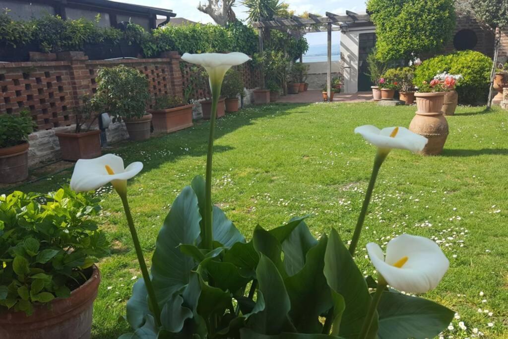 Bellavista La Tua Romantica Vacanza Sul Trasimeno Castiglione del Lago Ngoại thất bức ảnh