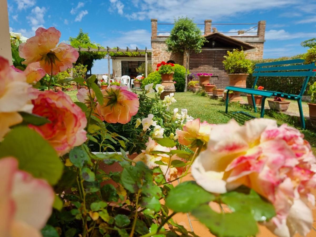 Bellavista La Tua Romantica Vacanza Sul Trasimeno Castiglione del Lago Ngoại thất bức ảnh