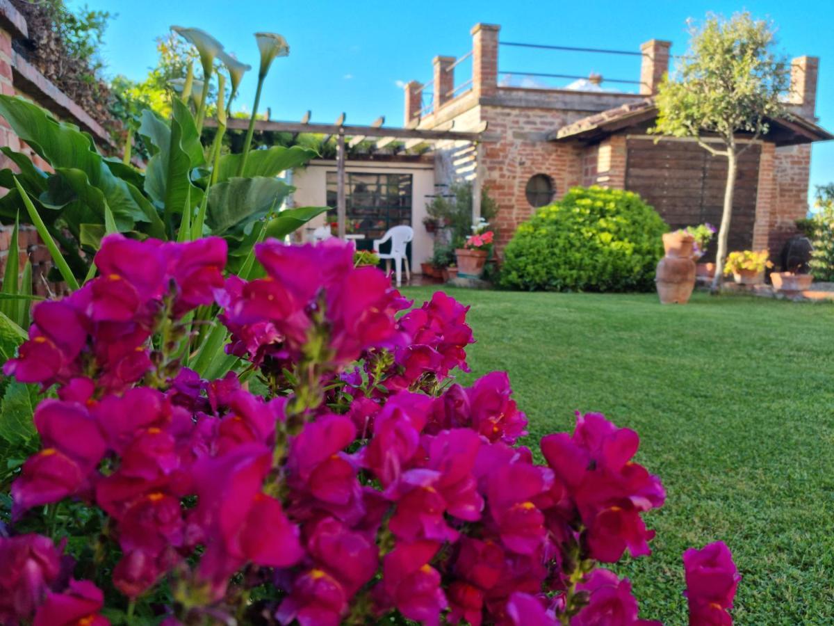 Bellavista La Tua Romantica Vacanza Sul Trasimeno Castiglione del Lago Ngoại thất bức ảnh